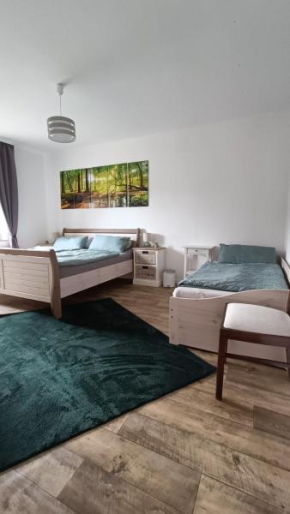 FeWo Deisterferien, Terrasse, Netflix, Wlan, A2, B65, Steinhude, bis 8 Personen